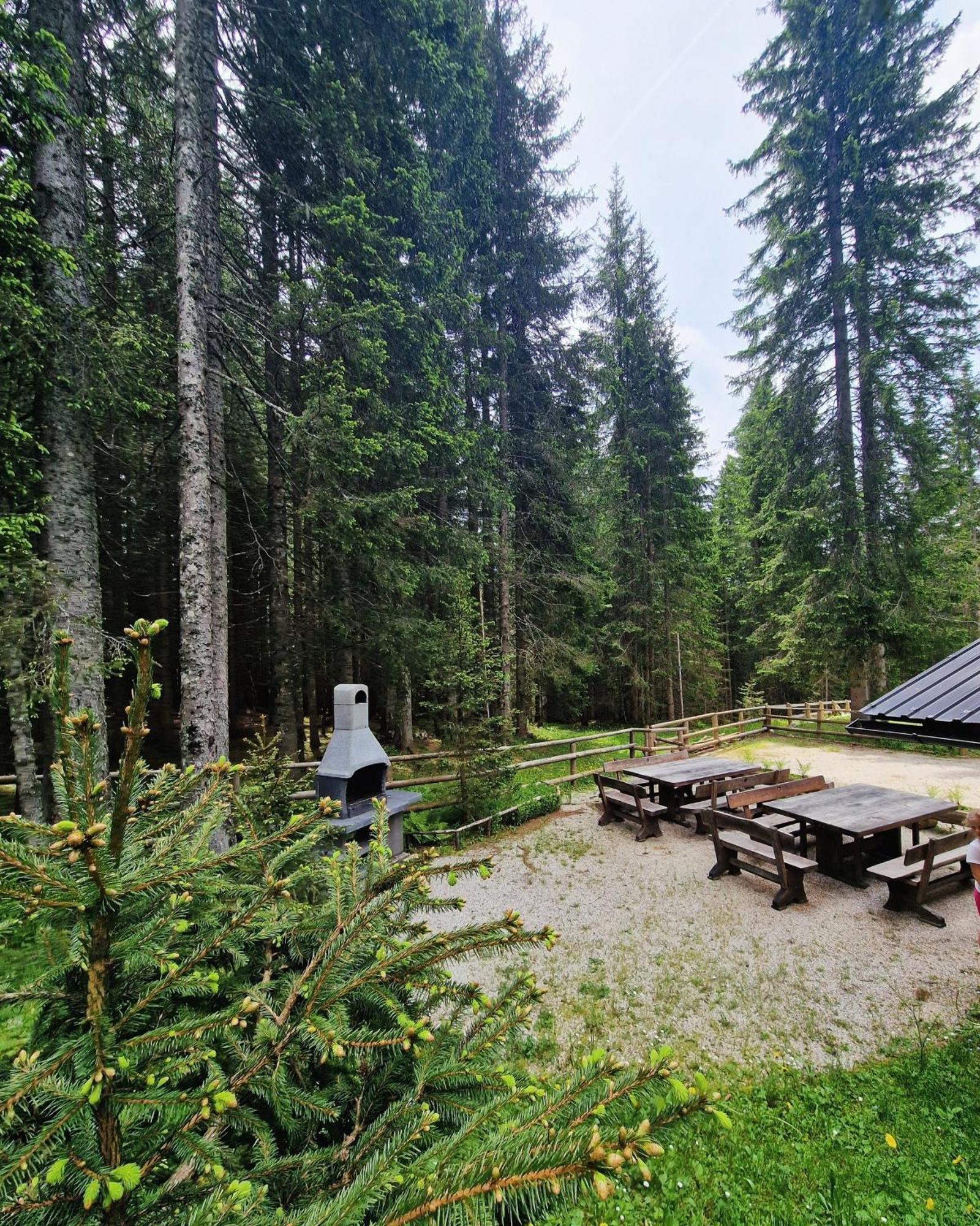 Forest Apartments Pokljuka Zgornje Gorje Luaran gambar