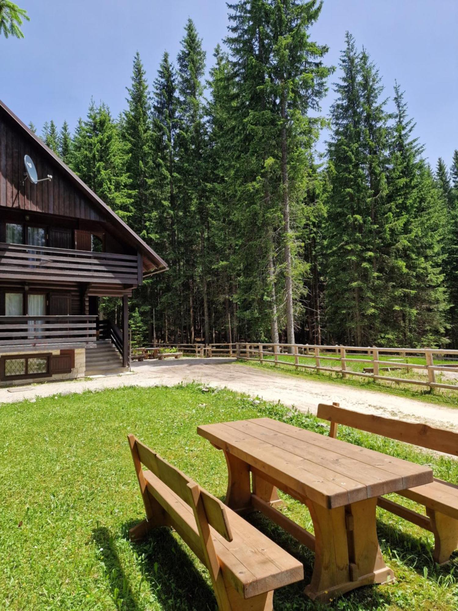 Forest Apartments Pokljuka Zgornje Gorje Luaran gambar