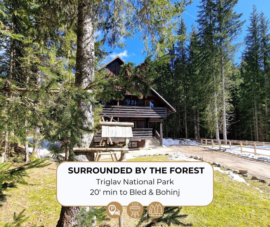 Forest Apartments Pokljuka Zgornje Gorje Luaran gambar