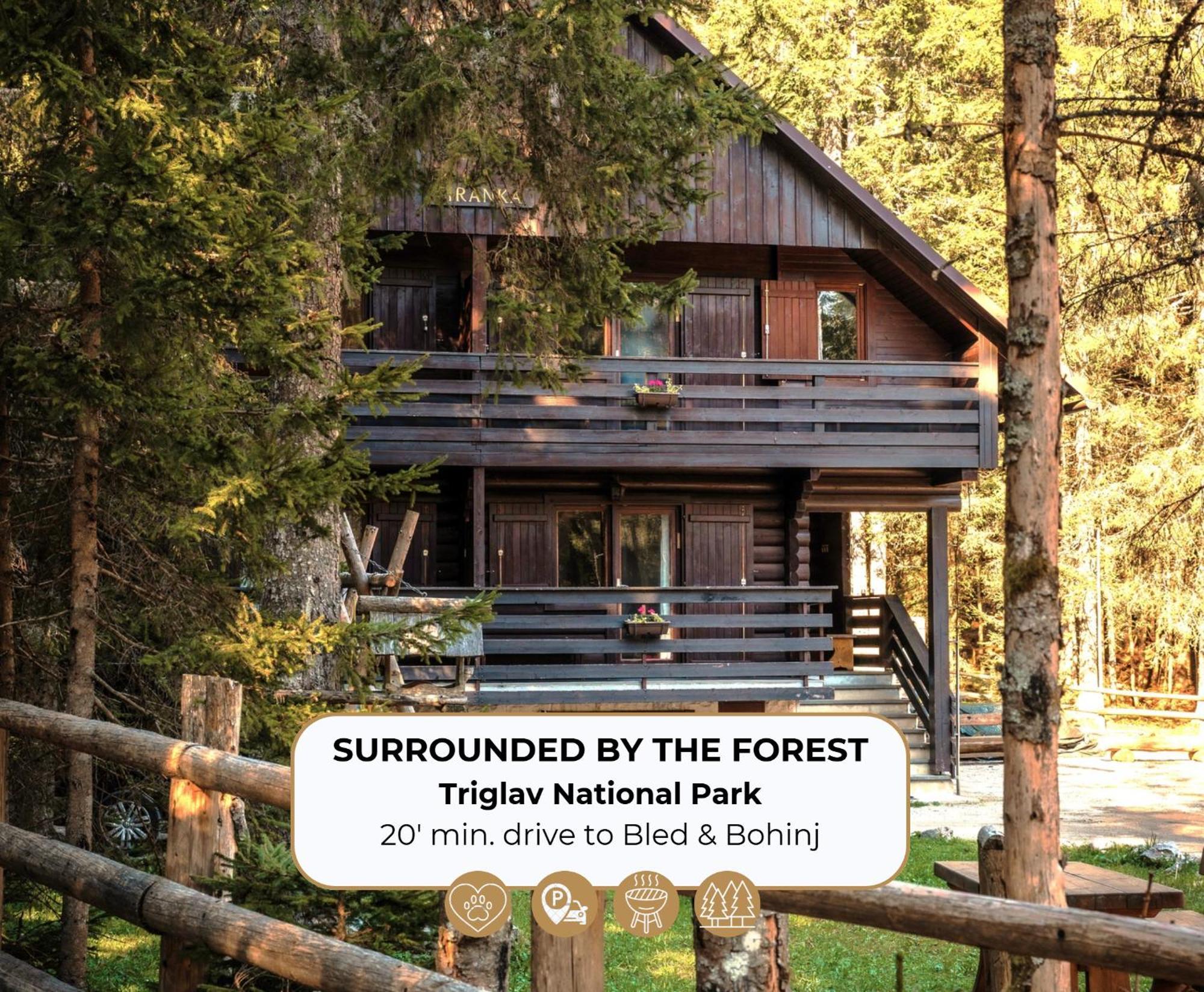 Forest Apartments Pokljuka Zgornje Gorje Luaran gambar