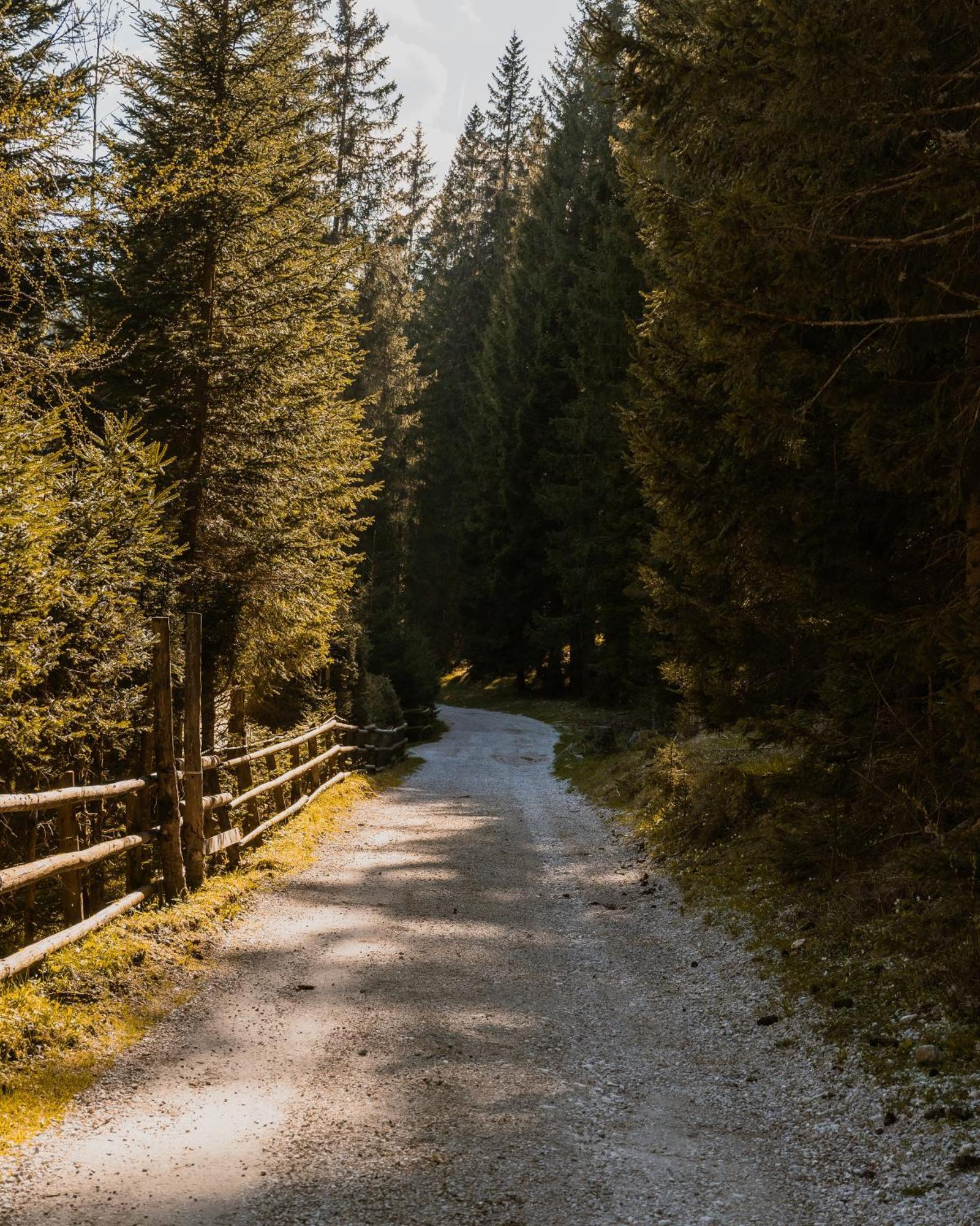 Forest Apartments Pokljuka Zgornje Gorje Luaran gambar
